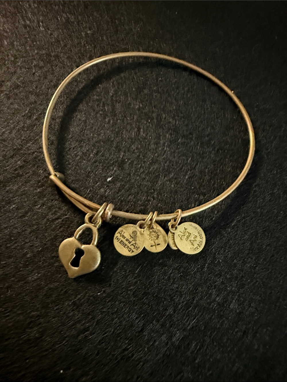 Alex and Ani Gold Heart Lock Charm Bangle with Logo Discs